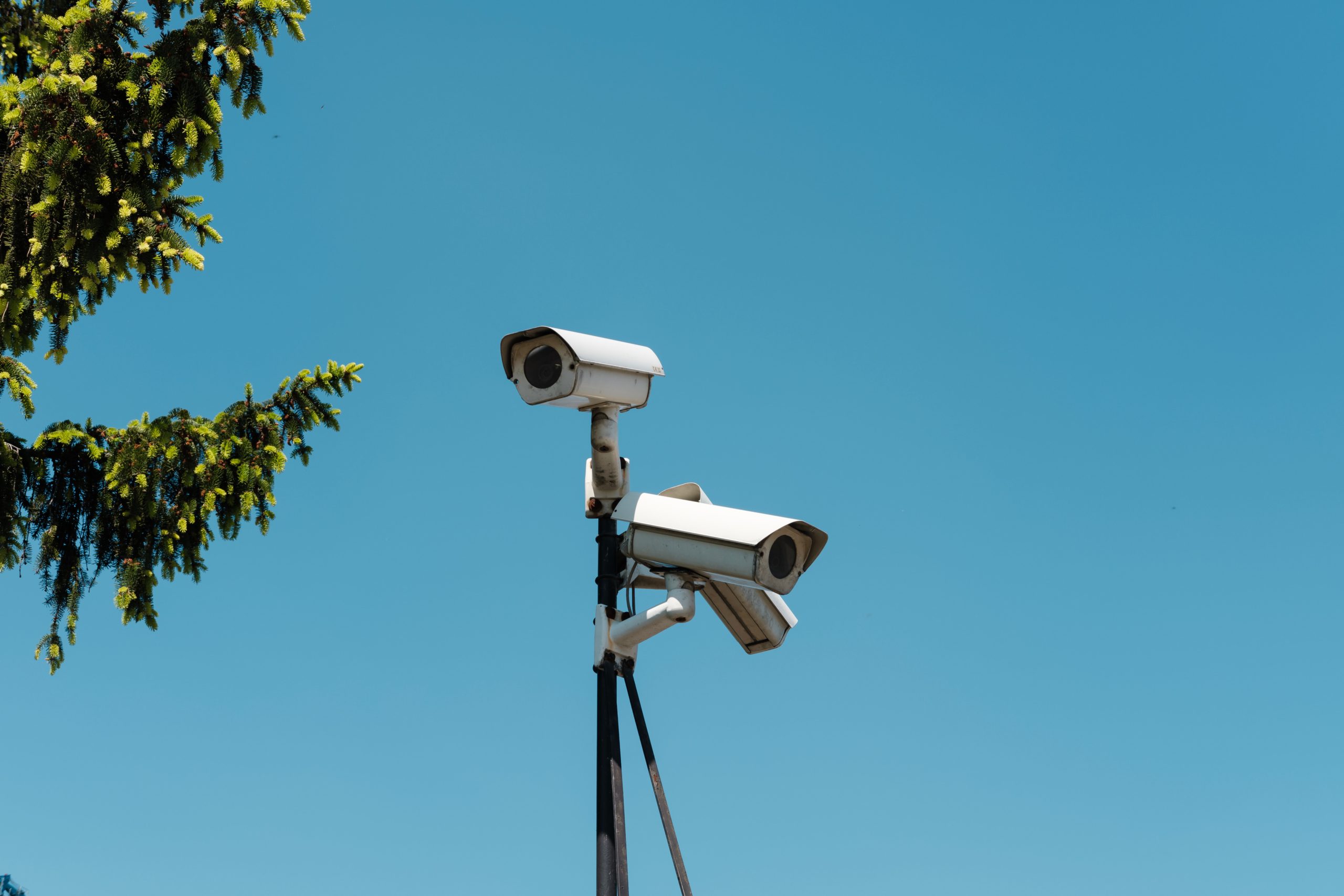 NVR Cameras on pole monitoring environment 