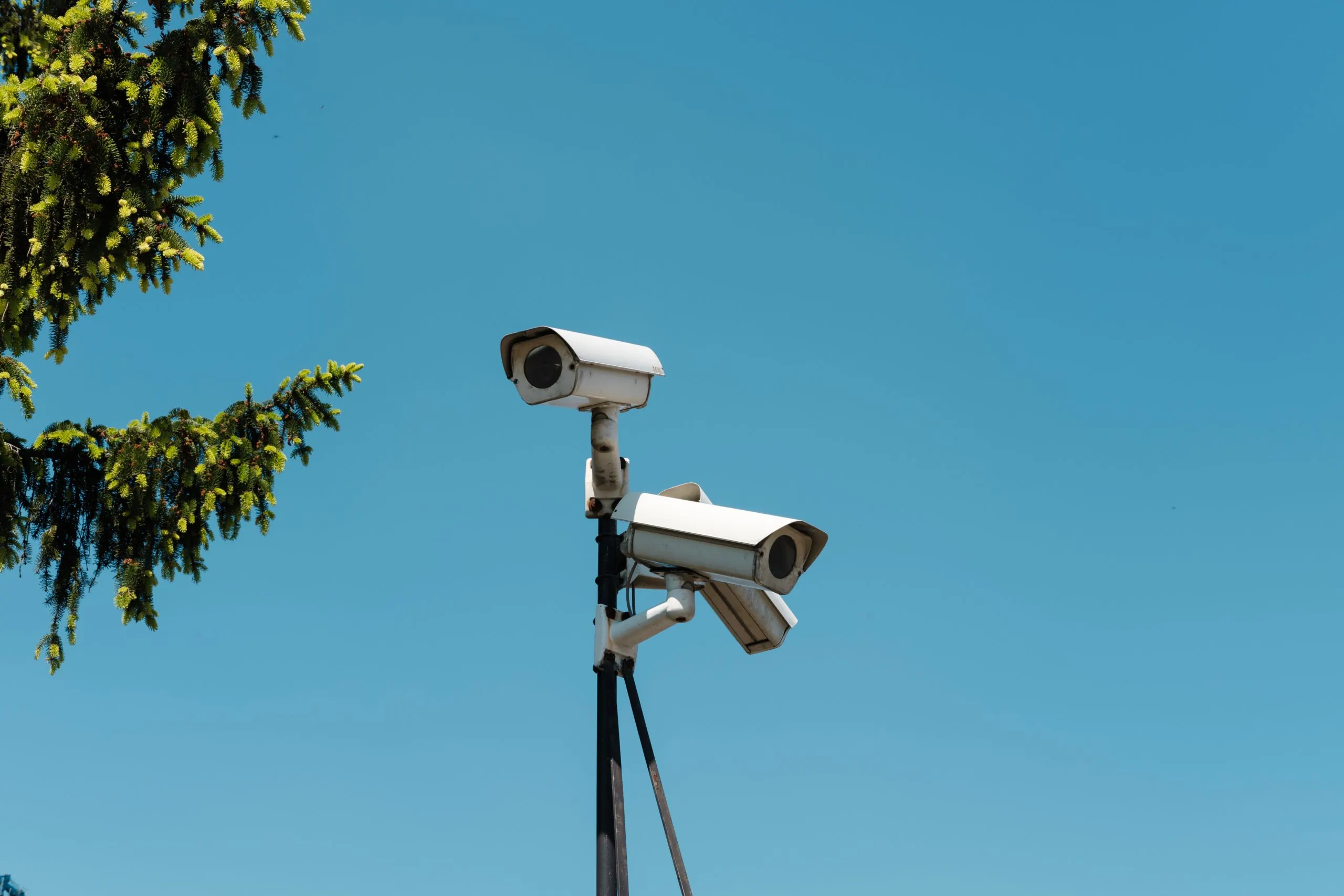 NVR Cameras on pole monitoring environment 