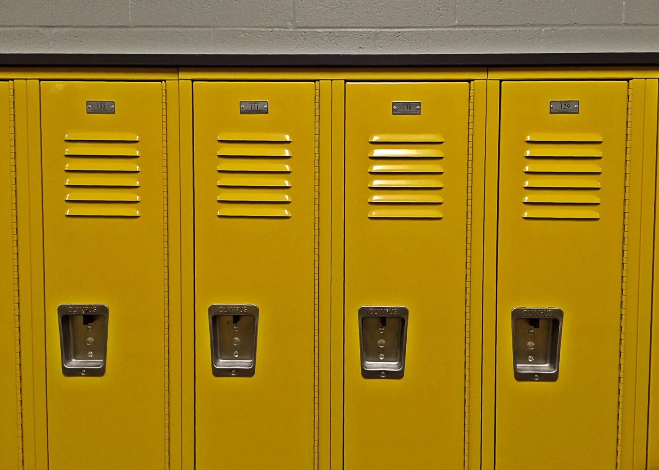school regulations kept with  alarm lock access control